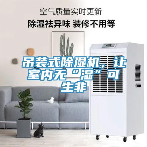 吊裝式除濕機(jī)，讓室內(nèi)無(wú)“濕”可生非