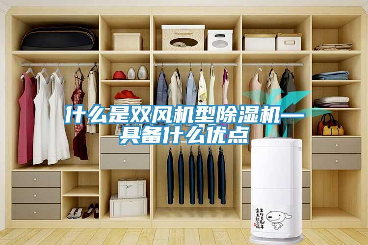 什么是雙風機型除濕機—具備什么優(yōu)點