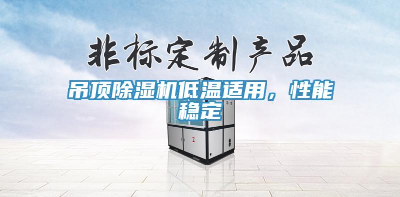 吊頂除濕機低溫適用，性能穩(wěn)定