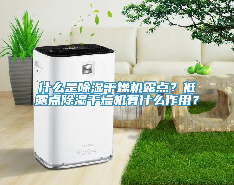 什么是除濕干燥機(jī)露點(diǎn)？低露點(diǎn)除濕干燥機(jī)有什么作用？