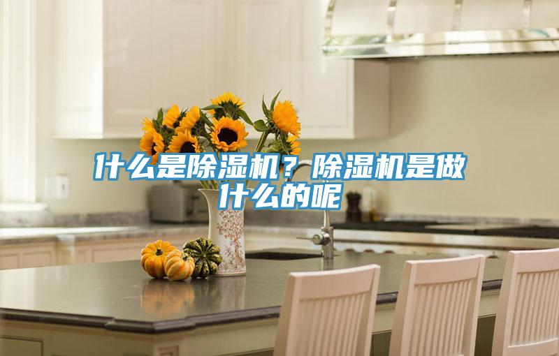 什么是除濕機(jī)？除濕機(jī)是做什么的呢