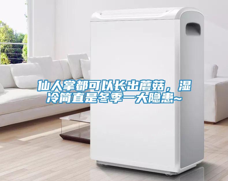 仙人掌都可以長出蘑菇，濕冷簡直是冬季一大隱患~
