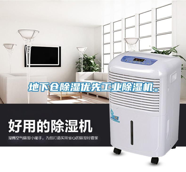 地下倉(cāng)除濕優(yōu)先工業(yè)除濕機(jī)。