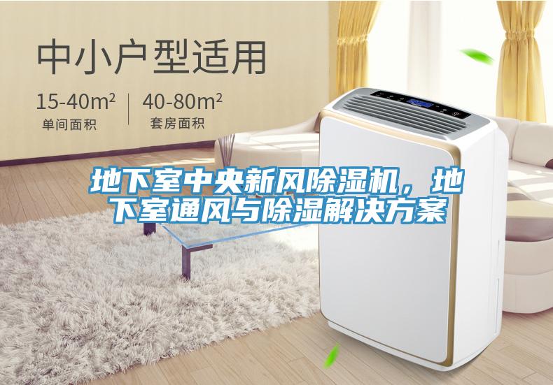 地下室中央新風除濕機，地下室通風與除濕解決方案