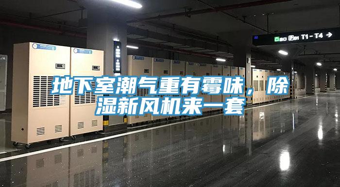 地下室潮氣重有霉味，除濕新風機來一套