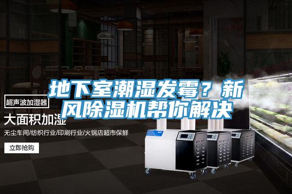 地下室潮濕發(fā)霉？新風除濕機幫你解決