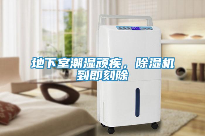 地下室潮濕頑疾，除濕機(jī)到即刻除
