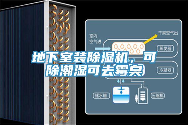 地下室裝除濕機(jī)，可除潮濕可去霉臭